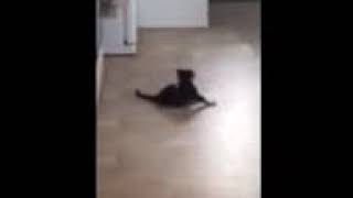 Grace discovers she has a tail
