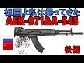 珍銃ハンターVol 8-2 AEK-971&A-545
