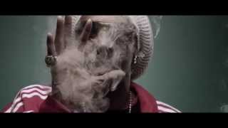 Snoop Lion ft.  Collie Buddz ► Smoke The Weed [HD]