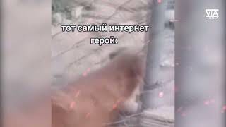 Тот самый диванный воин.