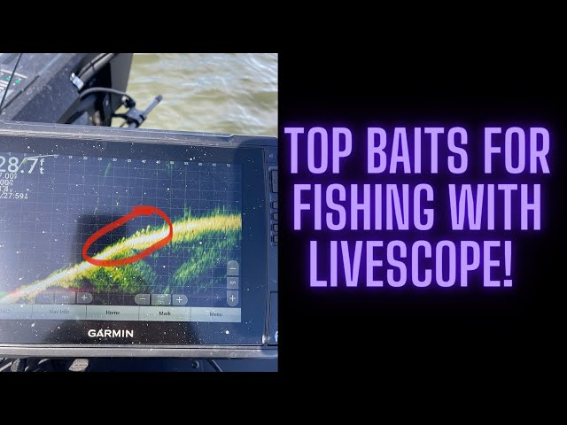 Top Baits For Fishing With Livescope! 