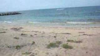 Piracy Of The Caribbean