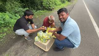 Sabse Pyaara Nimbu ❤️❤️