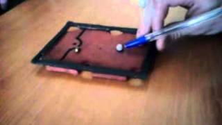 Se Bilardy (wersja mikro) screenshot 4