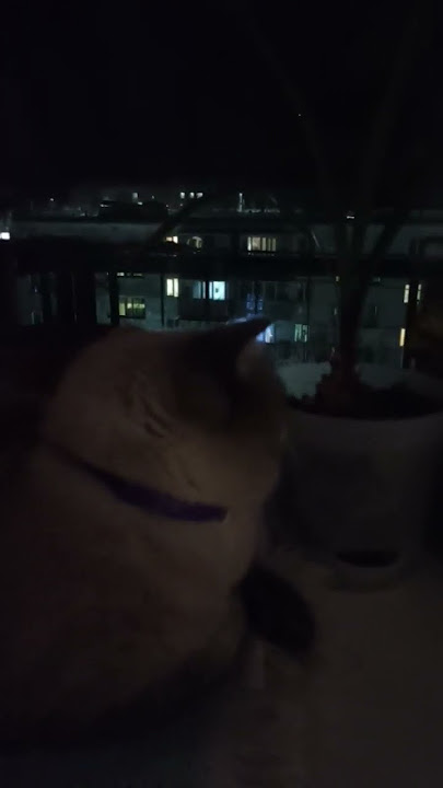 меня всё устраивает