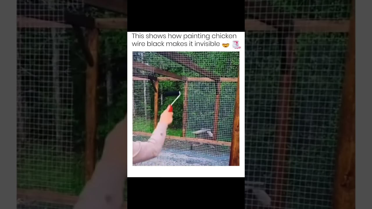 Watch This shows how painting chicken wire black makes it invisible on YouTube Watch This shows how painting chicken wire black makes it invisible on YouTube