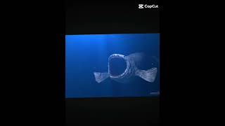 the bloop#monsterlaut