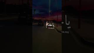 راي جديد .اخدم او بلع فمك وتهلا في ختك ومك #rai #remix#shorts