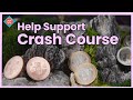 Help Keep Crash Course Free Forever!