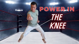 How to generate POWER behind your PUNCHES | Shorin Ryu