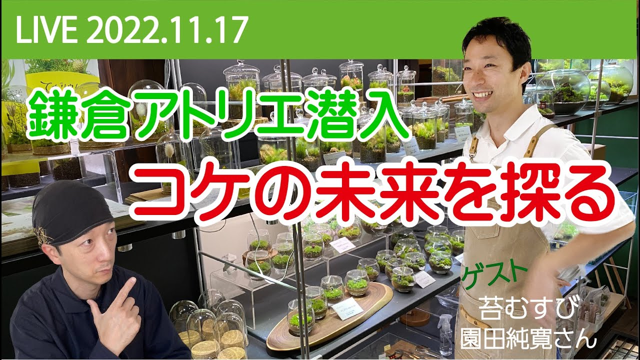 Infiltrating a Kamakura Atelier! Exploring the Future of Moss