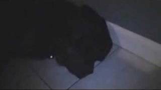 Aaron snores