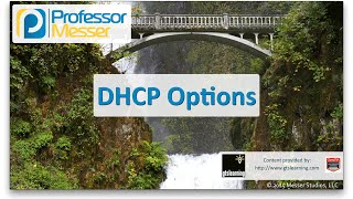 DHCP Options - CompTIA Network+ N10-006 - 1.3