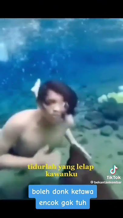 Tidurlah Yang Lelap Kawanku... #meme #youtubeshorts #viralshort #fypシ #story #storywa