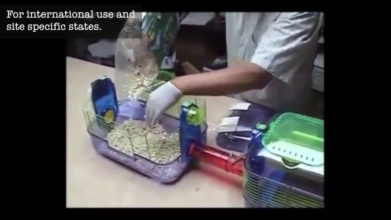 DeTour for Rodents Exceptional Rat repellent YouTube
