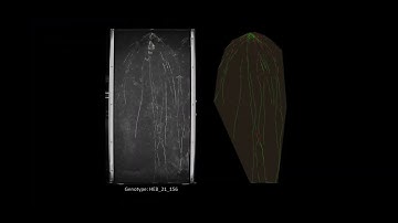 DPPN-Access Project: HEB-ROOT