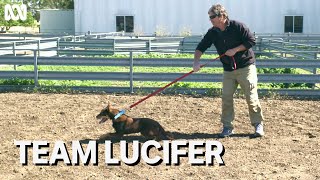 Lucifer the kelpie puppy and grazier Rob Tuncks | Muster Dogs