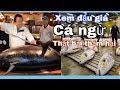 Đi xem đấu giá cá Ngừ bị thất bại thảm hại - Cuộc Sống Nhật Bản 169