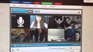 Tinychat Harlem Shake