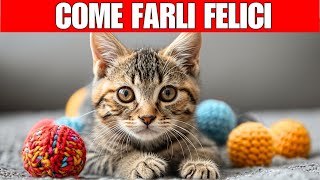 16 cose da fare per rendere felice il tuo gatto | Come migliorare la vita del tuo gatto