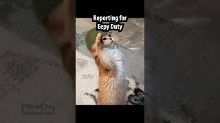 eepy duty