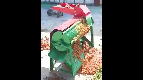 cracking machine apricot kernel