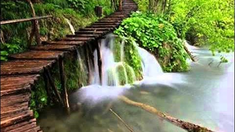 تعليم للأطفال سورة الشمس مكررة 3 مرات .. ماهر المعيقلي ..