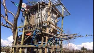 745f081a4afd742fc2e58dd0327c4586