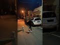 Running with shitzhu at night #dog #pets #abhishetty #running #shitzh #dogsworld #song #night #yt