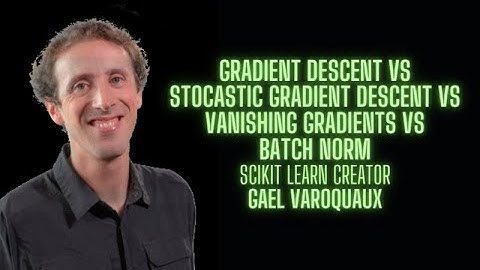 Gradient Descent vs Stochastic Gradient Descent vs Batch Norm - Gael Varoquaux ScikitLearn creator