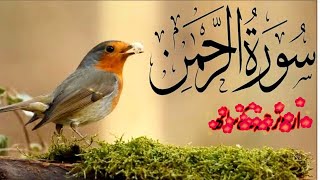 Surah AR-RAHMAN |EP047| Beautiful Recitation by Qari Shaikh Sudais