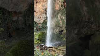 видео: Navajas. El salto de la novia #navajas #castellon #travel #waterfalls #cascada #испания #водопад картинка: Navajas. El salto de la novia #navajas #castellon #travel #waterfalls #cascada #испания #водопад