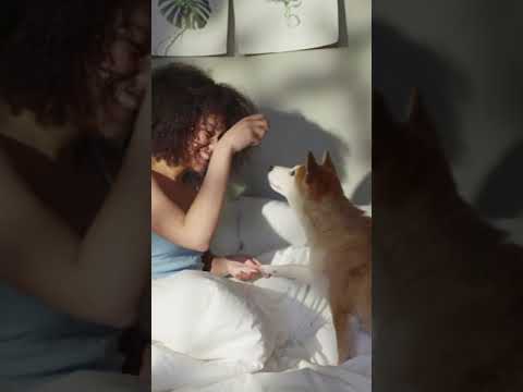 Lovely Smart Girl Playing With Her Baby Cute Dog On The Bed | How To Play With Dog | #Shorts #Dogs