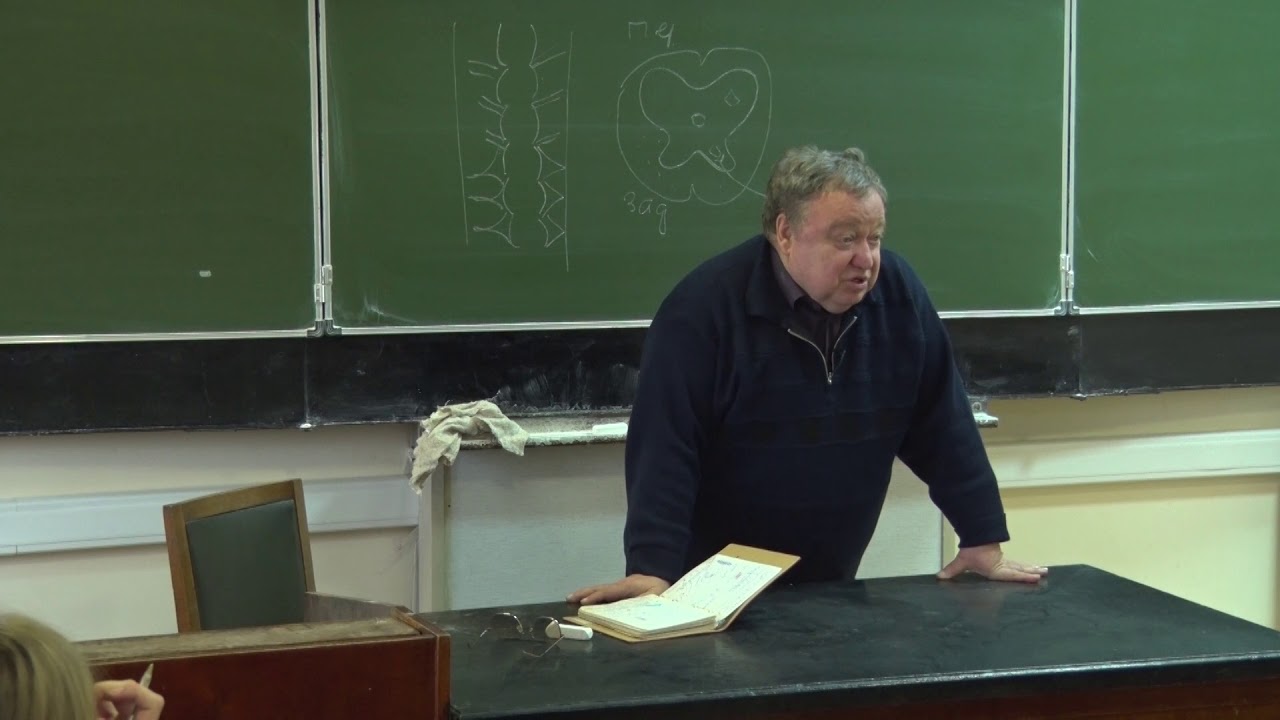 Каменский А. А. - Физиология человека и животных - Морфология нервной ...