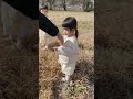 突然パパの手を嗅いだ3才の双子のリアクションがおもしろすぎるwww