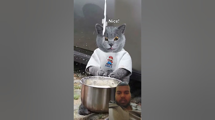 Sharing Tasty Turkey Noodles With TheHungry!eöI Don't Waste Food #catvideos#catmemes #trending