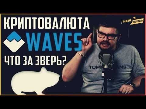 Video: Waves Review