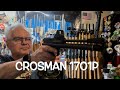 Crosman 1701P Silhouette pistol testing new Walmart Vogel pellets &amp; plinking