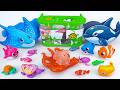 [Toy asmr] RC Octopus &amp; Zuru Robo Fish &amp; Harp's Aquarium ASMR Satisfying with Unboxing