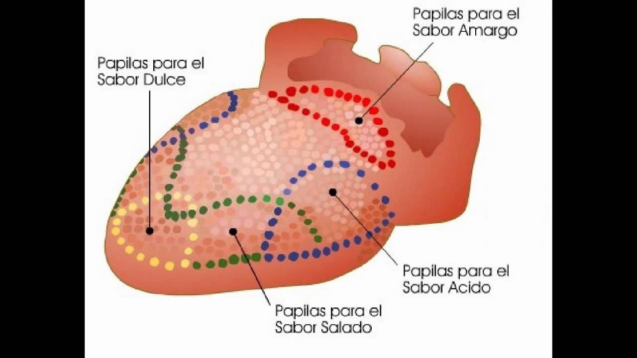 Malla en la lengua para adelgazar en tijuana