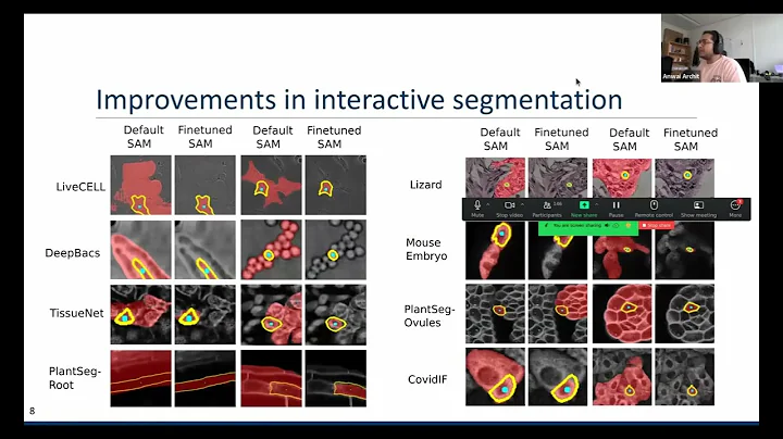 Segment Anything for Microscopy