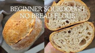 Beginner Sourdough with Plain Flour | No Bread Flour Needed