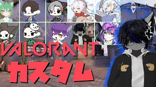 皆で楽しくVALOカスタム！【VALORANT】