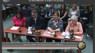 20190514 TX 86R HB 1962 Fleck Testimony
