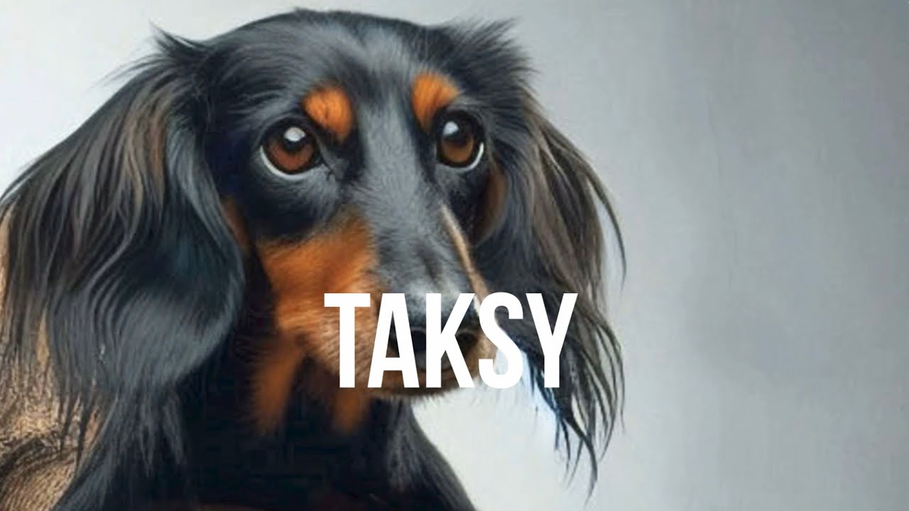 TAKSY