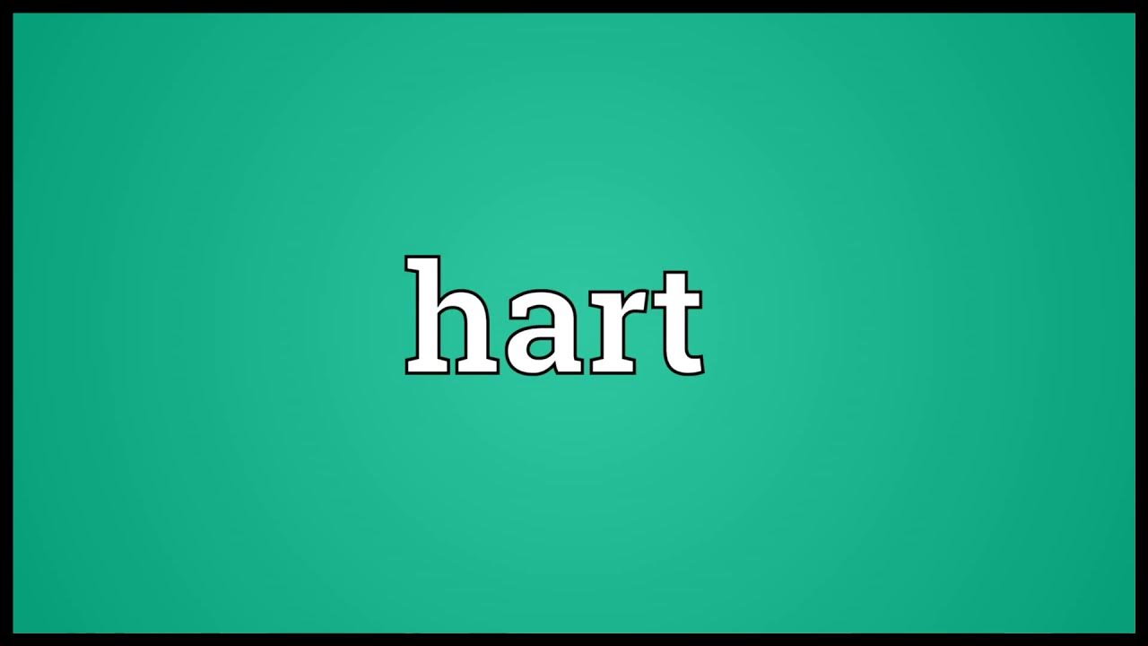 Hart Meaning In English YouTube hart-meaning-in-english-youtube