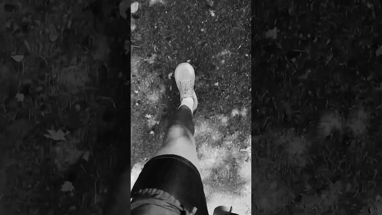 Algorithm won’t stop me. 