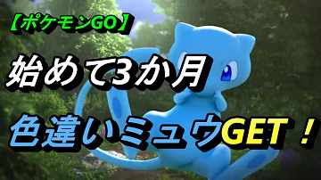 ポケモン Goミュウ色違い