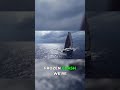 Catamaran Crash: Why Prices Fell &amp; What It Means!
