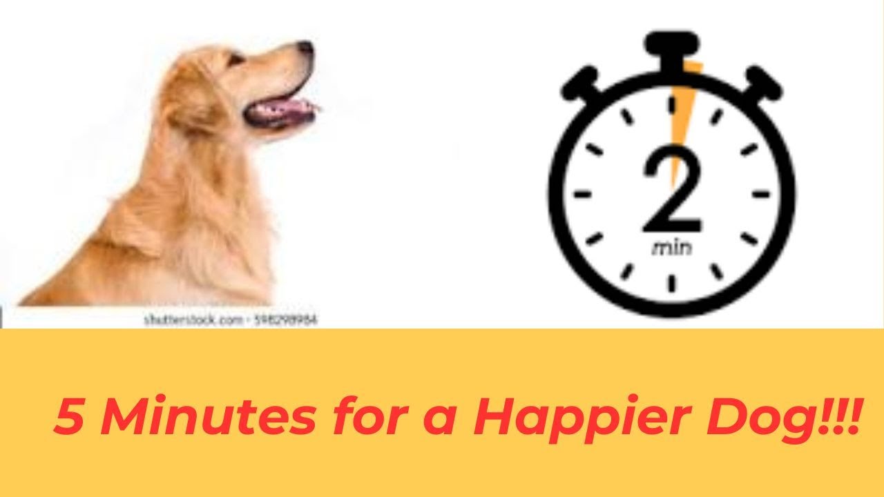[5-Minutes That Will Change Your Dog’s Life! 🐕✨] 